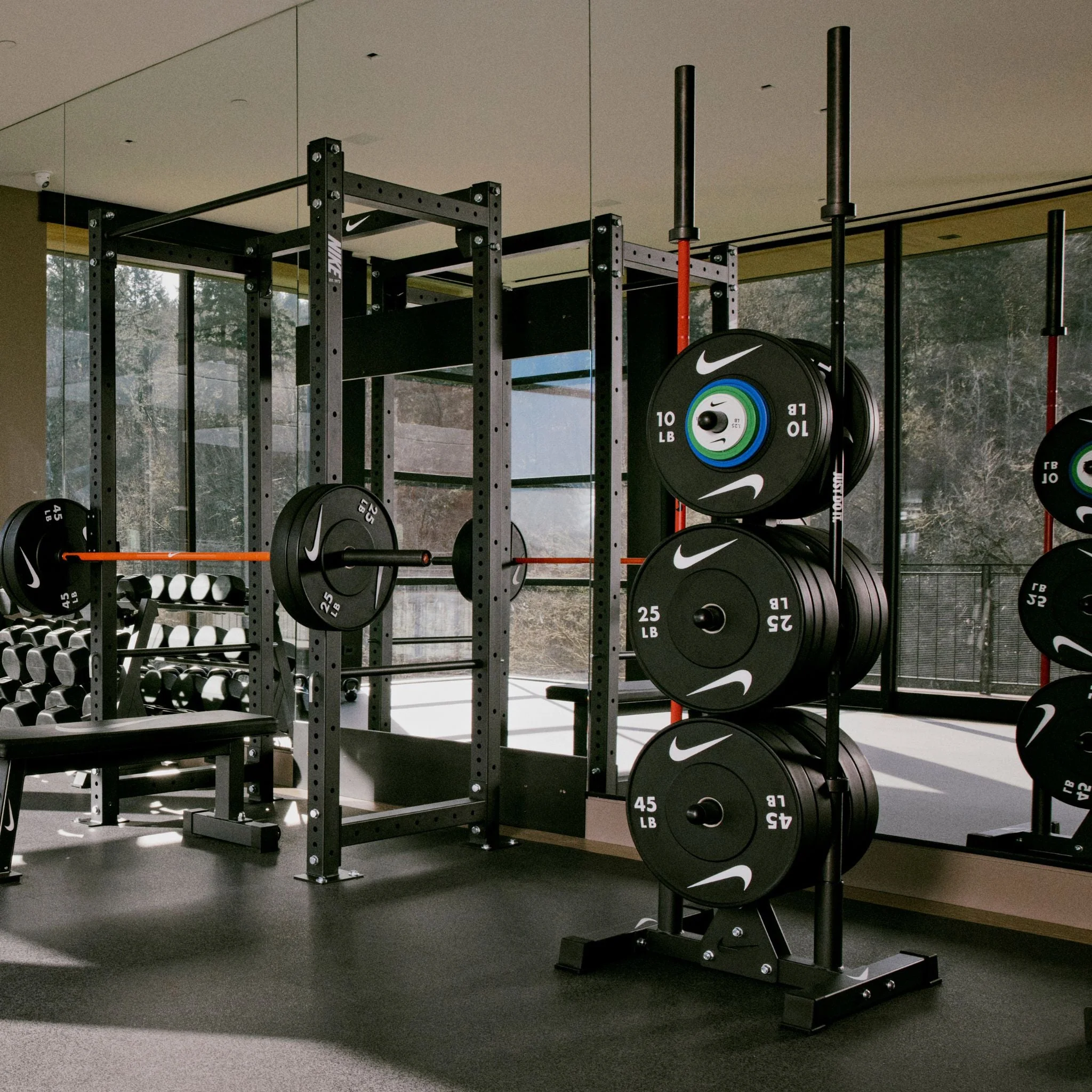Alpha Home Gym Setup - Image 163